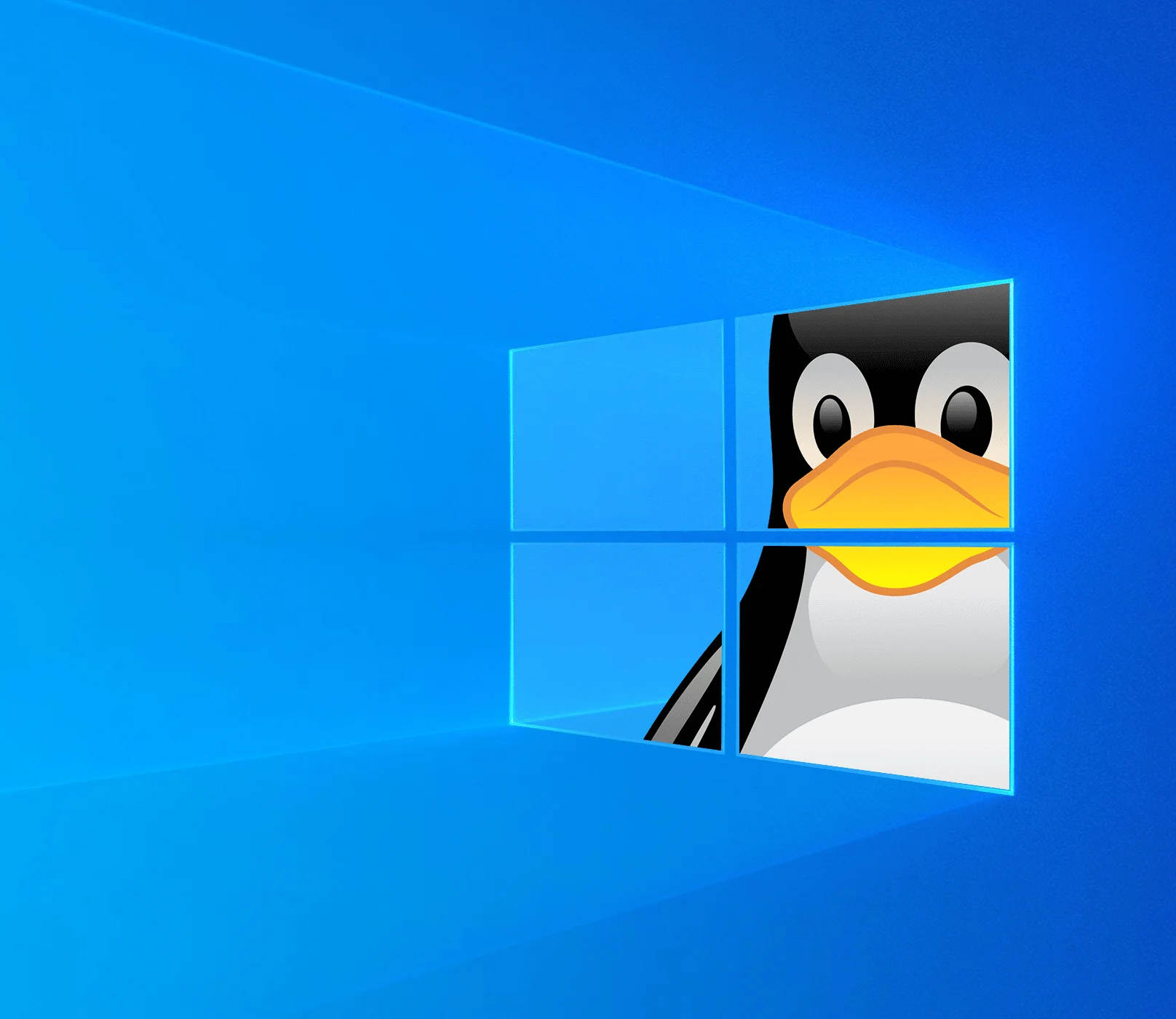 Photo for Sick of Windows? You may not need to keep it. 